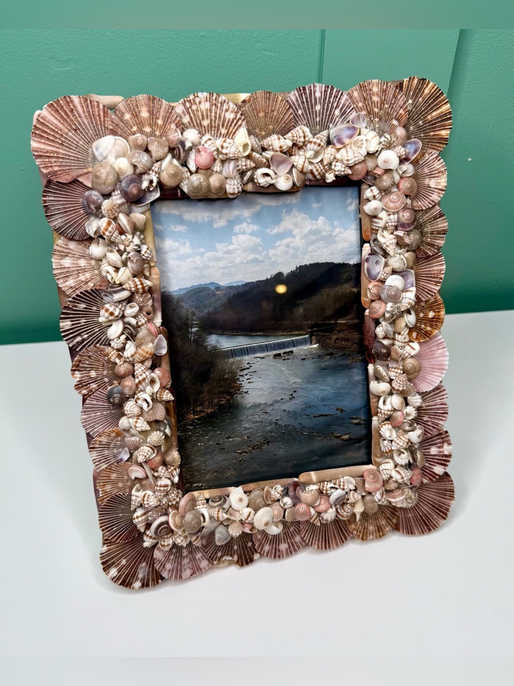 Seashell Shell Photo Picture Frame Natural Coastal Beachy Beach House Decor - Picture 4 of 16